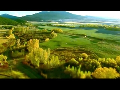 দরজা শক্তির ভূমিকা